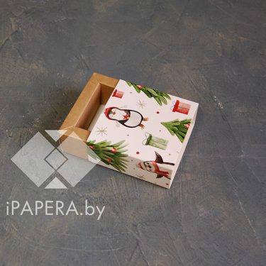 Коробка-пенал "Пингвины" 5*5*3 см с фальшбортом (крафт дно)