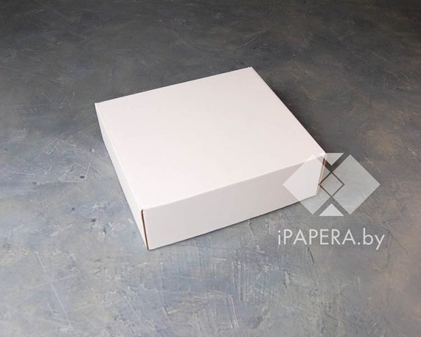 Белая крафт-коробка S-3 (20,5*20,5*7 см)