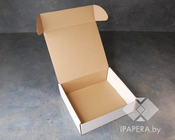 Белая крафт-коробка S-3 (20,5*20,5*7 см) — изображение 2