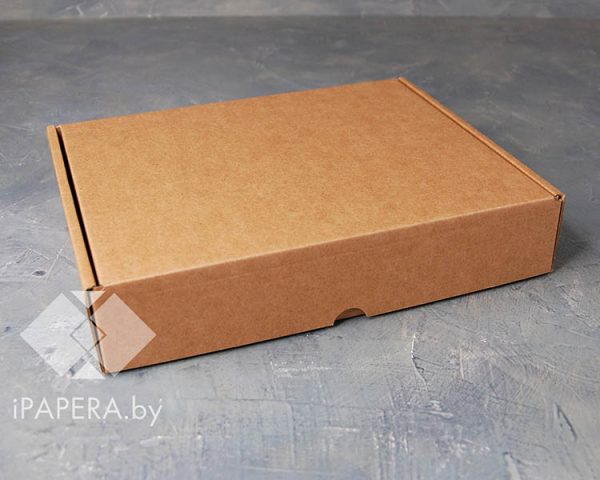 Крафт-коробка 25*21*5 см