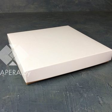 Коробка "Белая" 20*20*3 см (крафт дно)