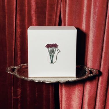 День Рождения